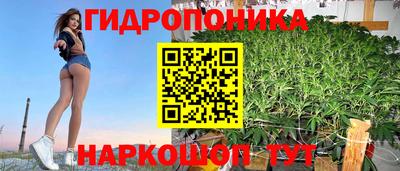 jwh Гай